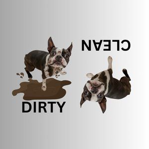 BOSTON TERRIER Clean Dirty Dishwasher Flexible Magnet